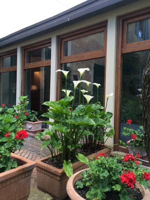 thumbnail: Exterior detail