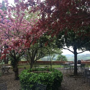 thumbnail: Garden