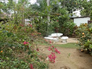 thumbnail: Garden