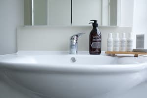 thumbnail: Bathroom sink
