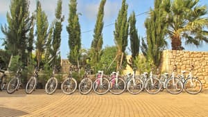 thumbnail: Bicycling