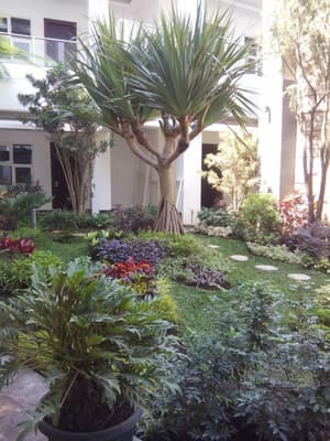 thumbnail: Garden