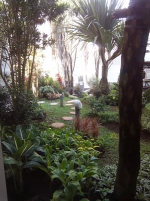 thumbnail: Garden