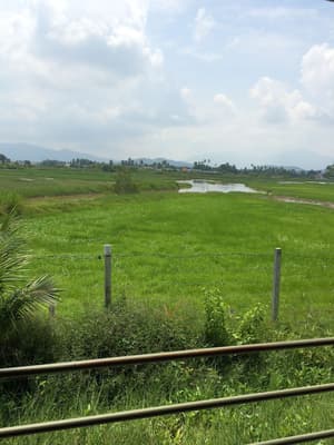 thumbnail: View from property