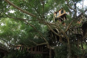 thumbnail: Exterior