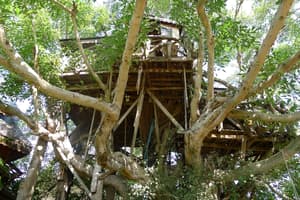 thumbnail: Exterior