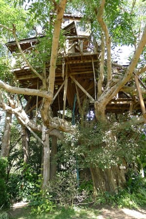 thumbnail: Interior