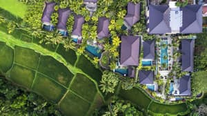 Ubud Bali thumbnail