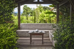 thumbnail: Garden view