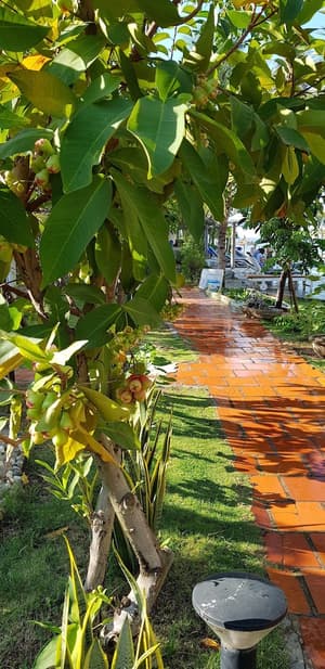 thumbnail: Garden