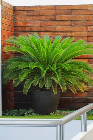 thumbnail: Exterior