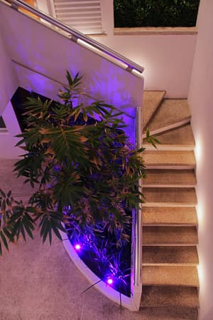 thumbnail: Terrace/patio