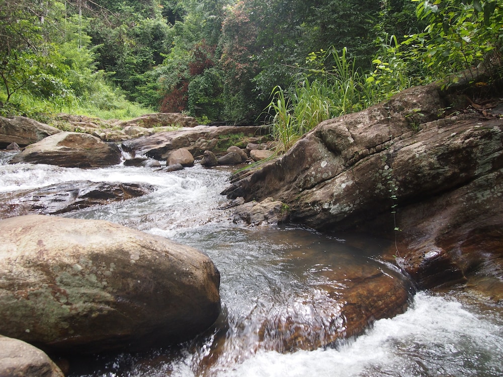 Natural pool