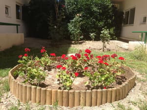 thumbnail: Garden