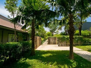thumbnail: Property grounds