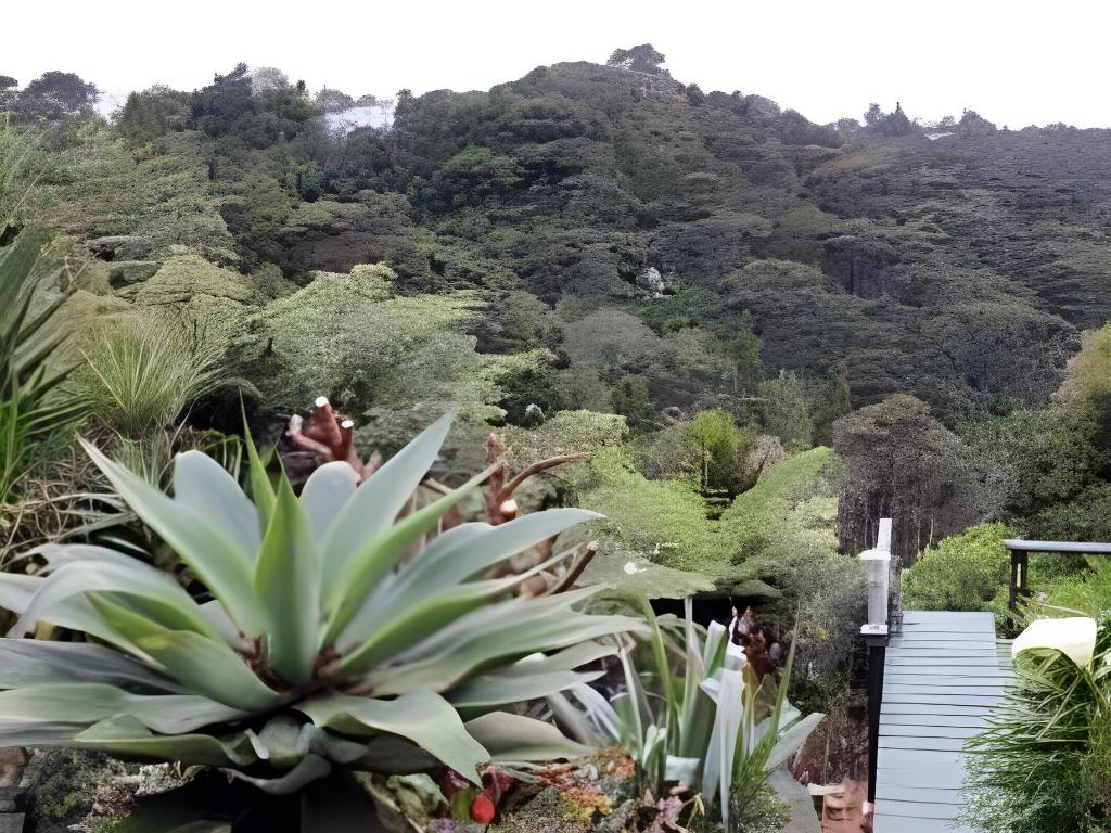 02d84c4d2411e54d13c4a75376fd37b3.jpeg