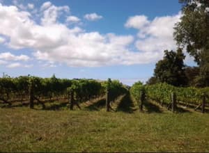 thumbnail: General view