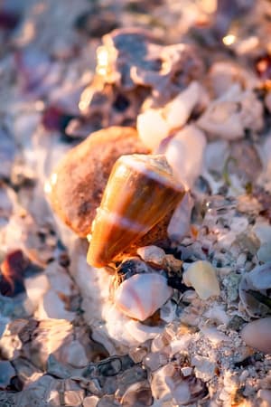 thumbnail: Beach/ocean view