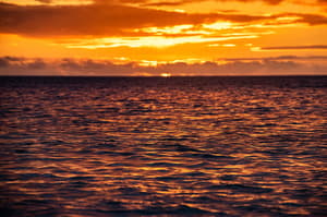thumbnail: Beach/ocean view