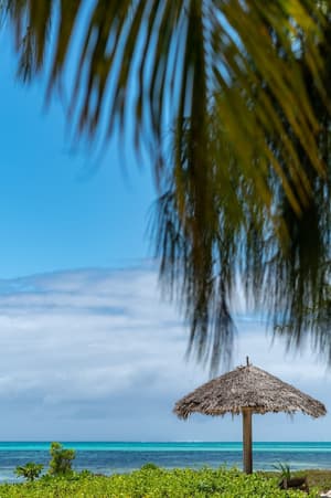 thumbnail: Beach/ocean view
