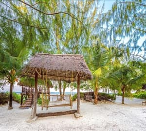 thumbnail: Beach