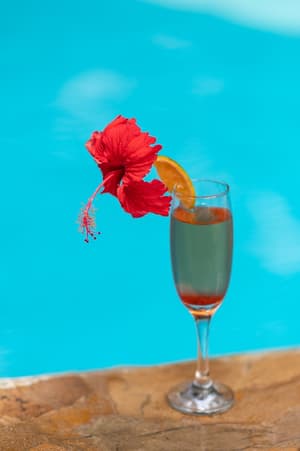 thumbnail: Food and drink