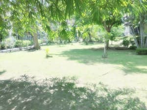 thumbnail: Property grounds