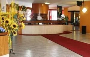 thumbnail: Reception