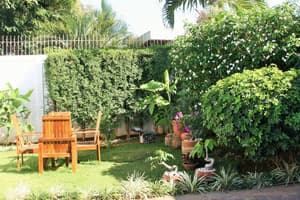 thumbnail: Garden