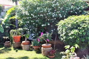 thumbnail: Garden