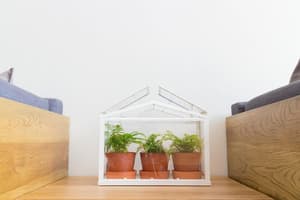 thumbnail: Living room
