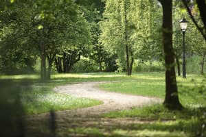 thumbnail: Garden