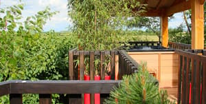 thumbnail: Terrace/patio