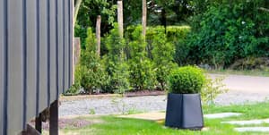 thumbnail: Garden