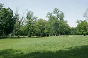 thumbnail: Property grounds
