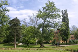 thumbnail: Property grounds