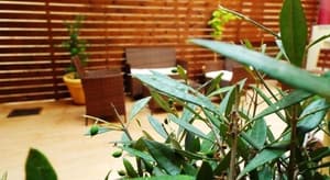 thumbnail: Terrace/patio