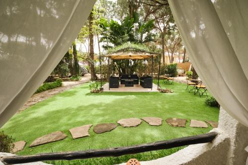 356536453.jpg