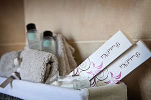 thumbnail: Bathroom amenities