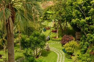 thumbnail: Garden