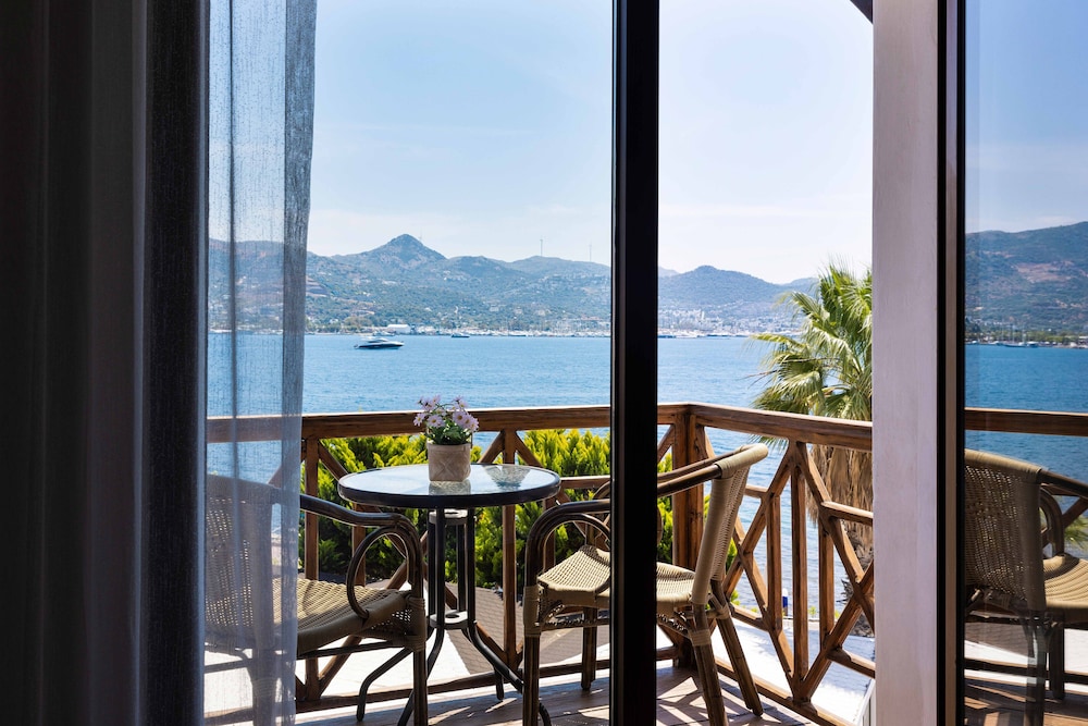 View from room
