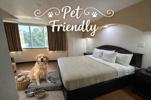 thumbnail: Pet-friendly