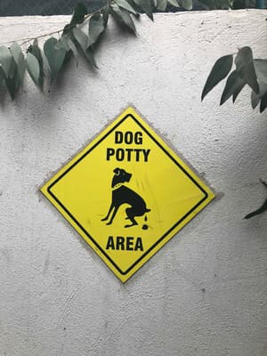 thumbnail: Pet-friendly
