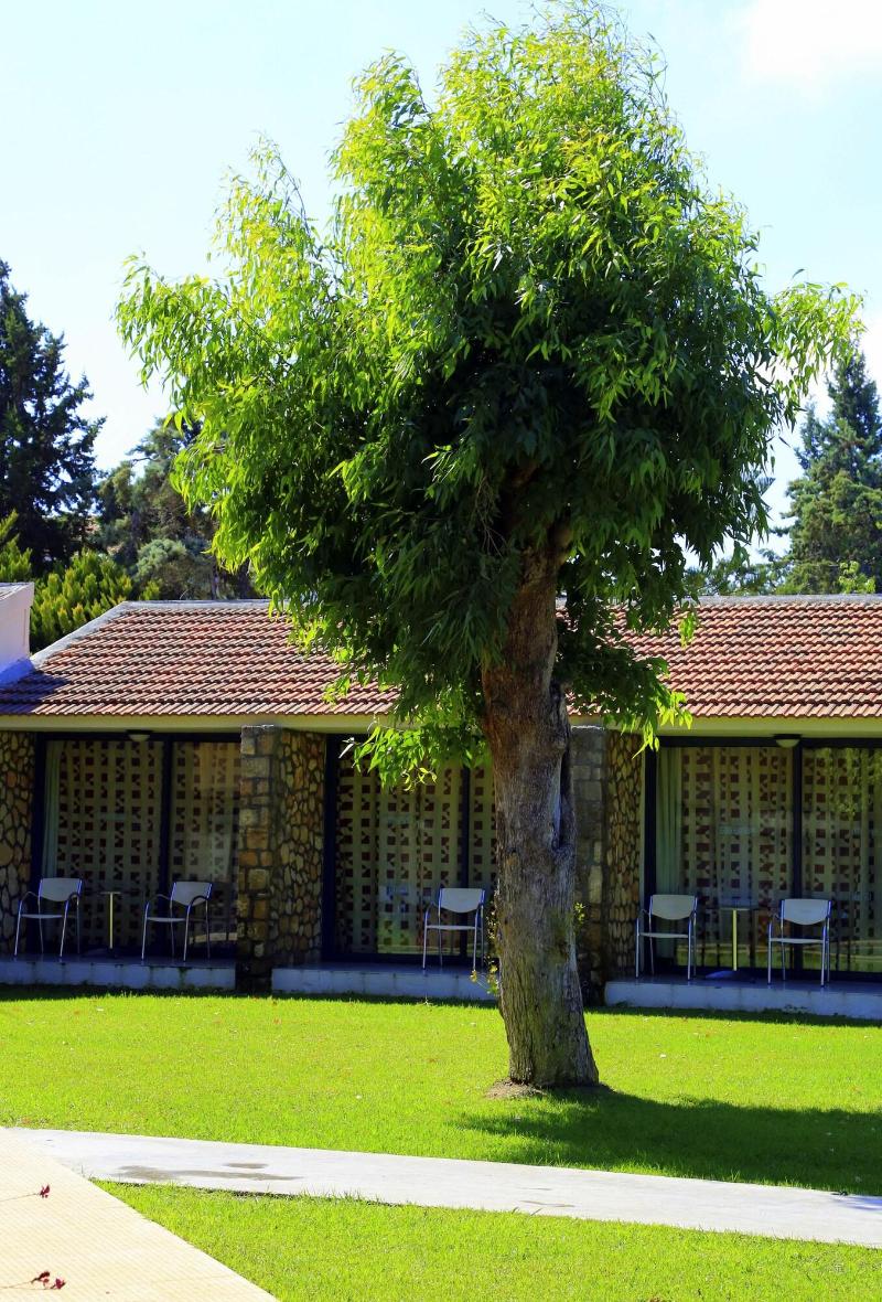 General view