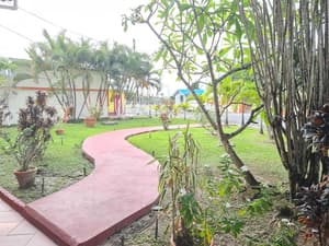 thumbnail: Garden