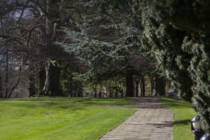 thumbnail: Library