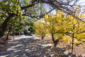 thumbnail: Property grounds