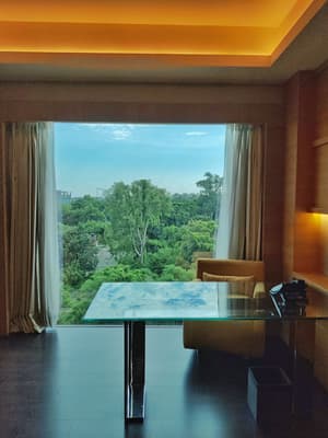 thumbnail: City view from property