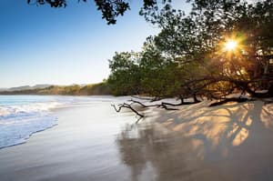 thumbnail: Beach