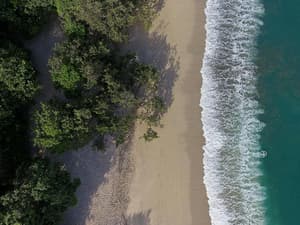 thumbnail: Beach
